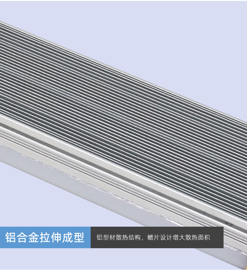 BGD-L-2020_11.jpg