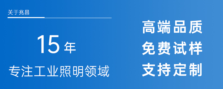 路灯-ZCLDC_14.jpg